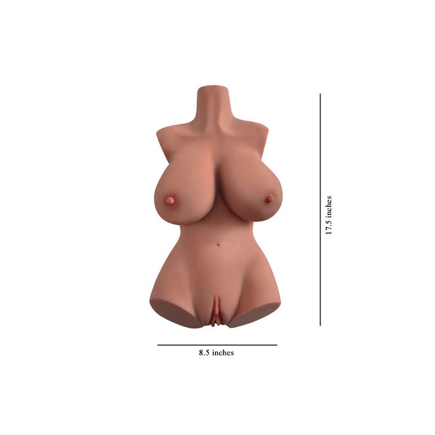 PDX Plus+ Perfect 10 Torso